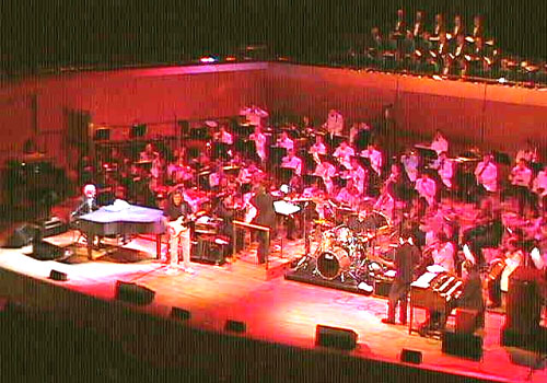 Picture courtesy of Hans Tammes