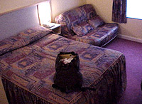 Sorry about the rucksack on the bed