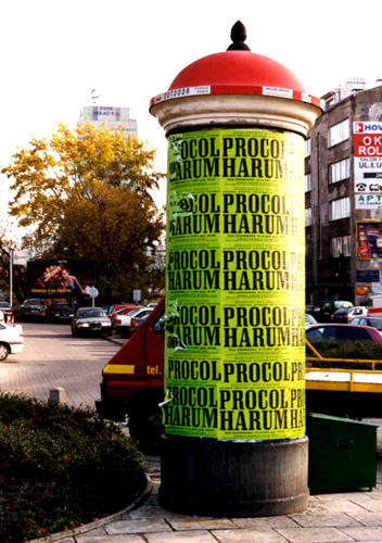 Picture from Mirek Plodzik