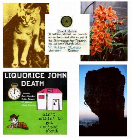 The Procol pussycat, Prccol the Orchid, Procol the mountain, and the BJ Wilson star